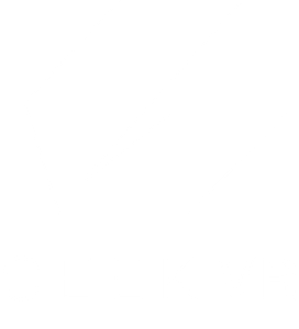 CEEK logo